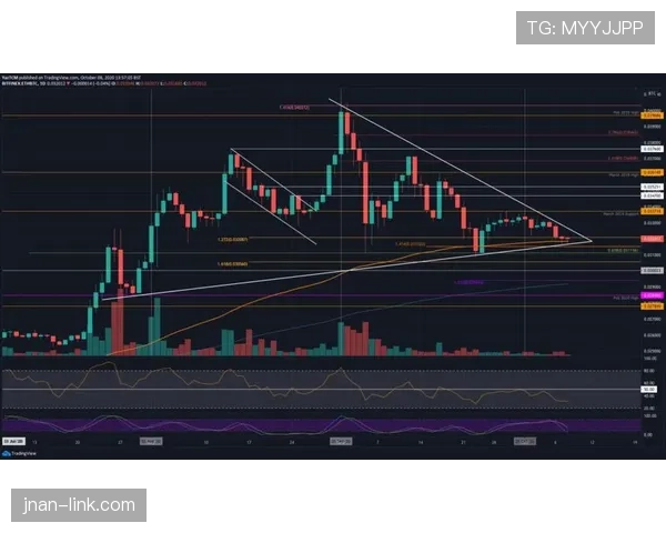 佩德里vs穆西亚拉：控场与突破能力对比分析